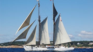Un velero con varias velas, una bandera y una costa al fondo.