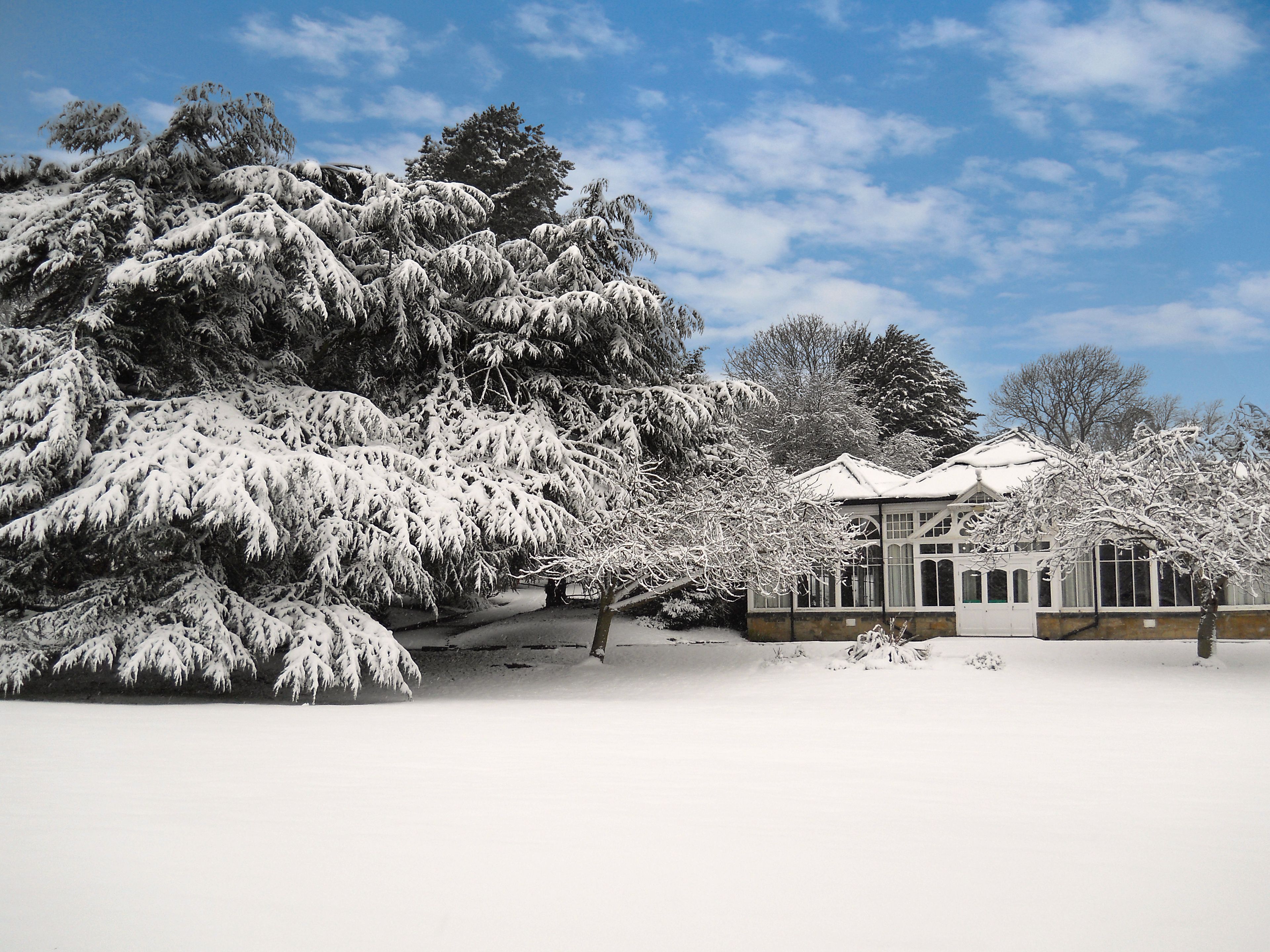A snow-covered landscape with a traditional building featuring large windows and a tiled roof.