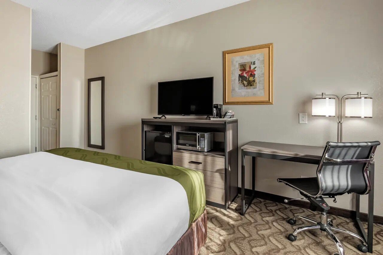 Une chambre d’hôtel comprenant un lit, un bureau avec une chaise, une télévision, un four à micro-ondes et un tableau encadré au mur.