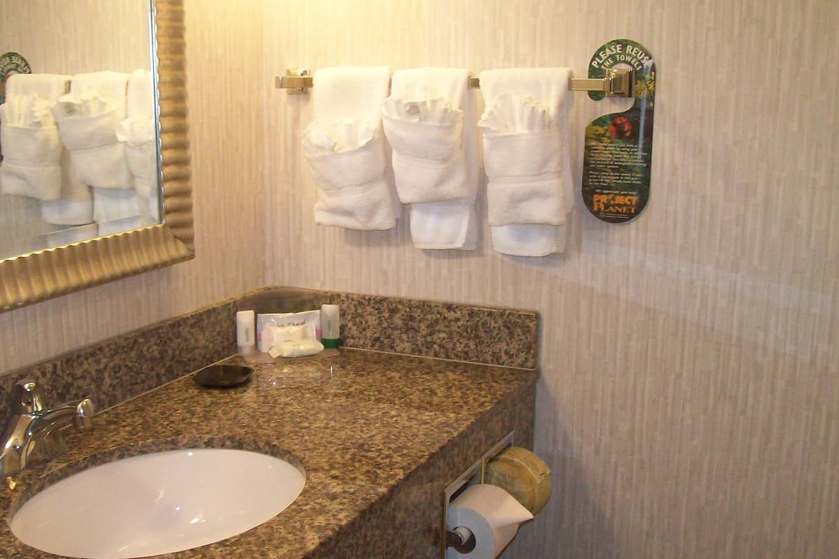 combined shower/bathtub, free toiletries, hair dryer, towels