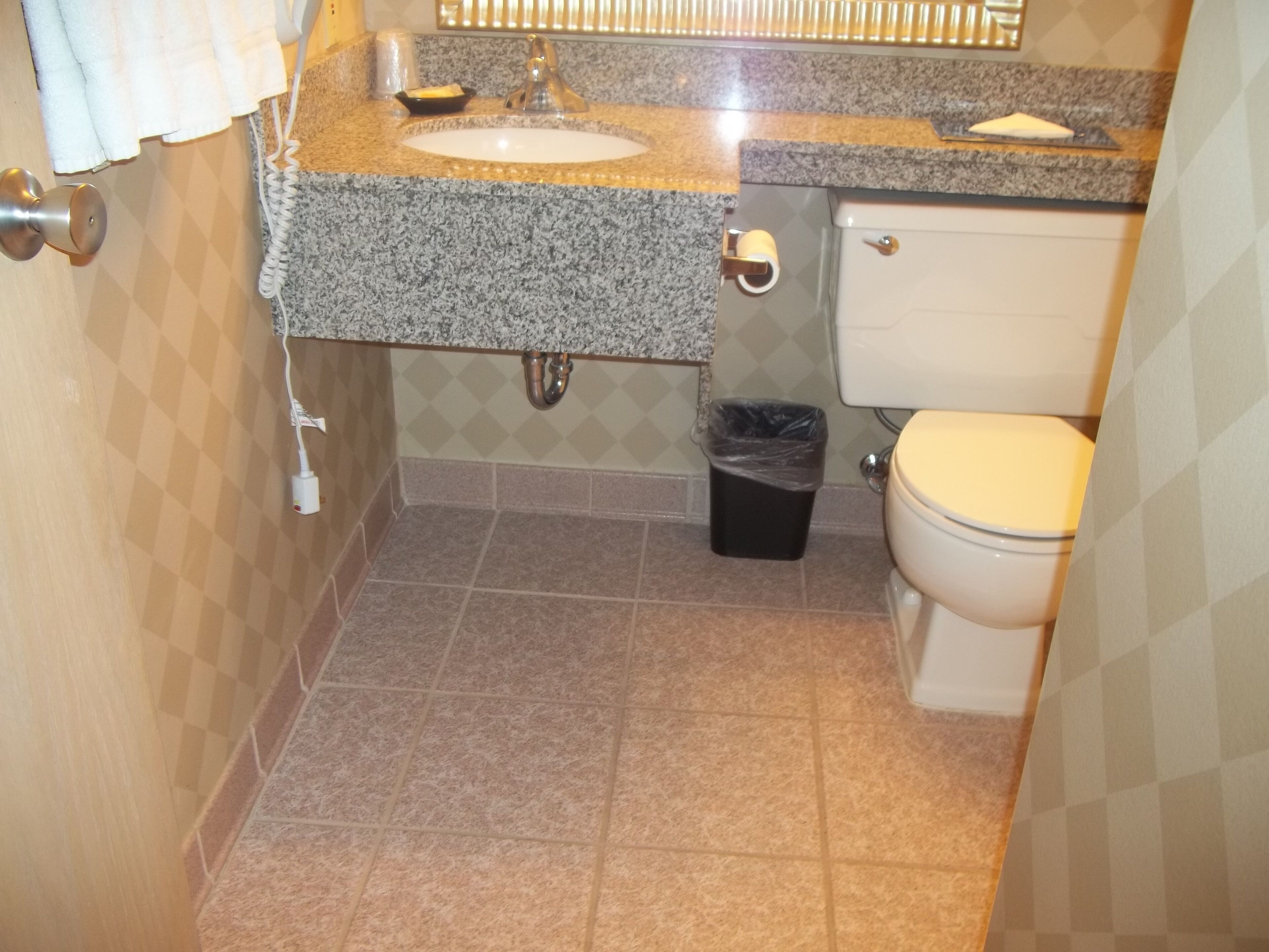 combined shower/bathtub, free toiletries, hair dryer, towels