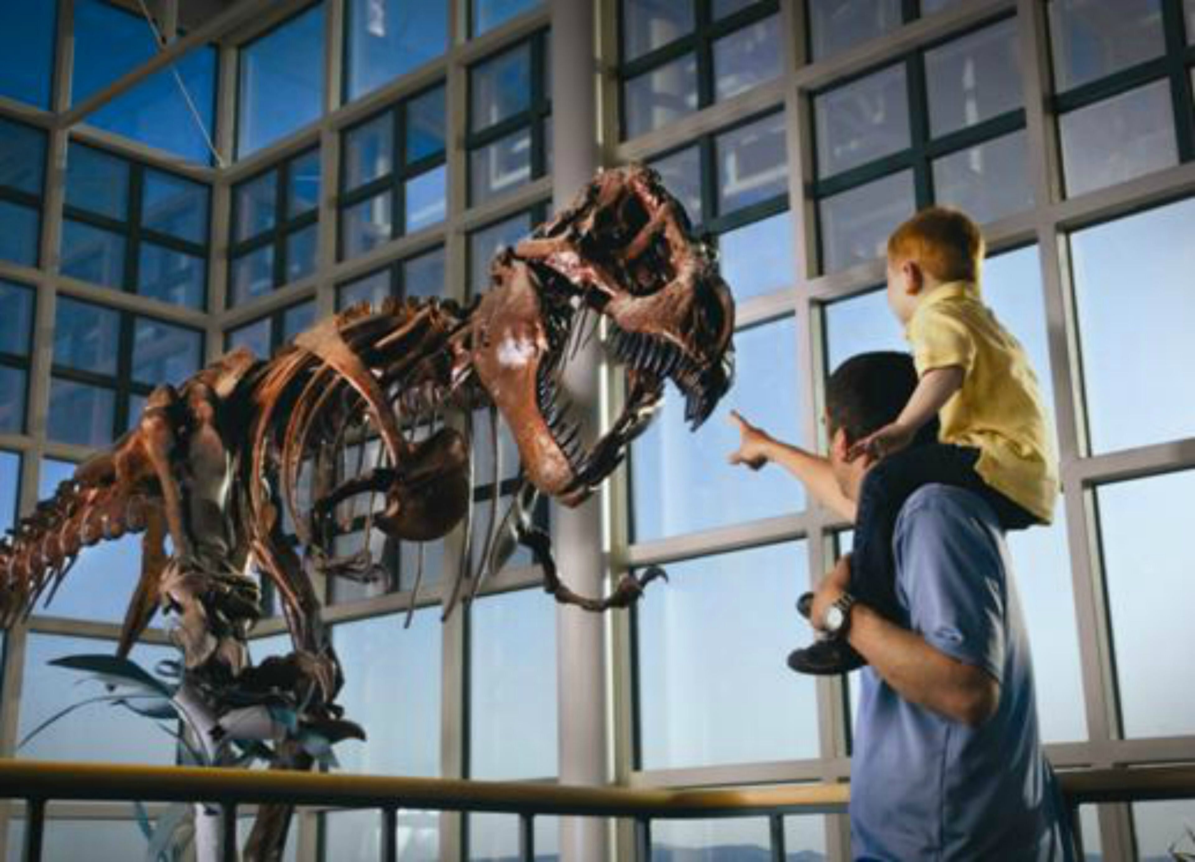 Une exposition présentant le squelette d’un dinosaure dans un musée, avec de grandes fenêtres en arrière-plan.