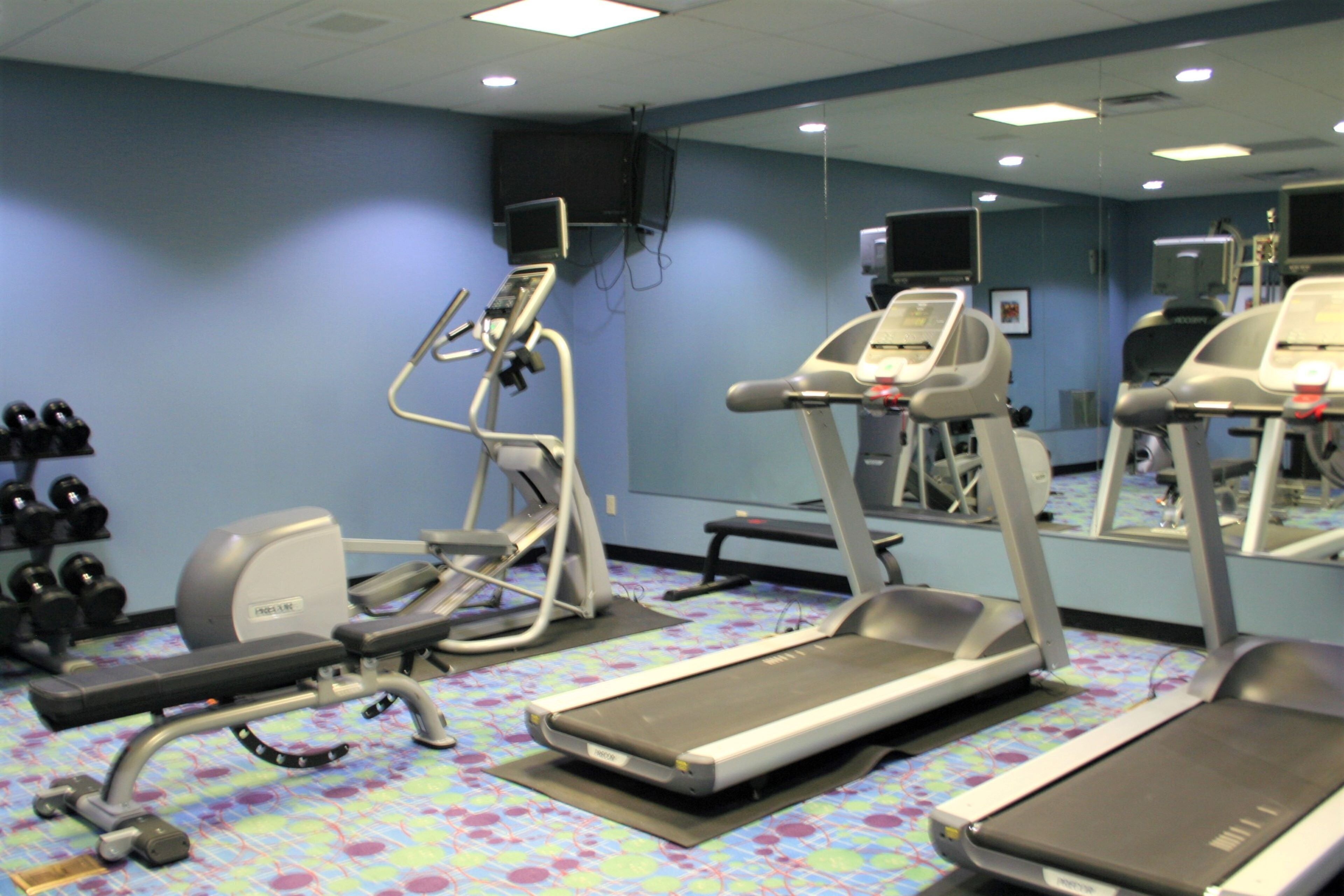 A gym with treadmills, elliptical machines, and free weights.