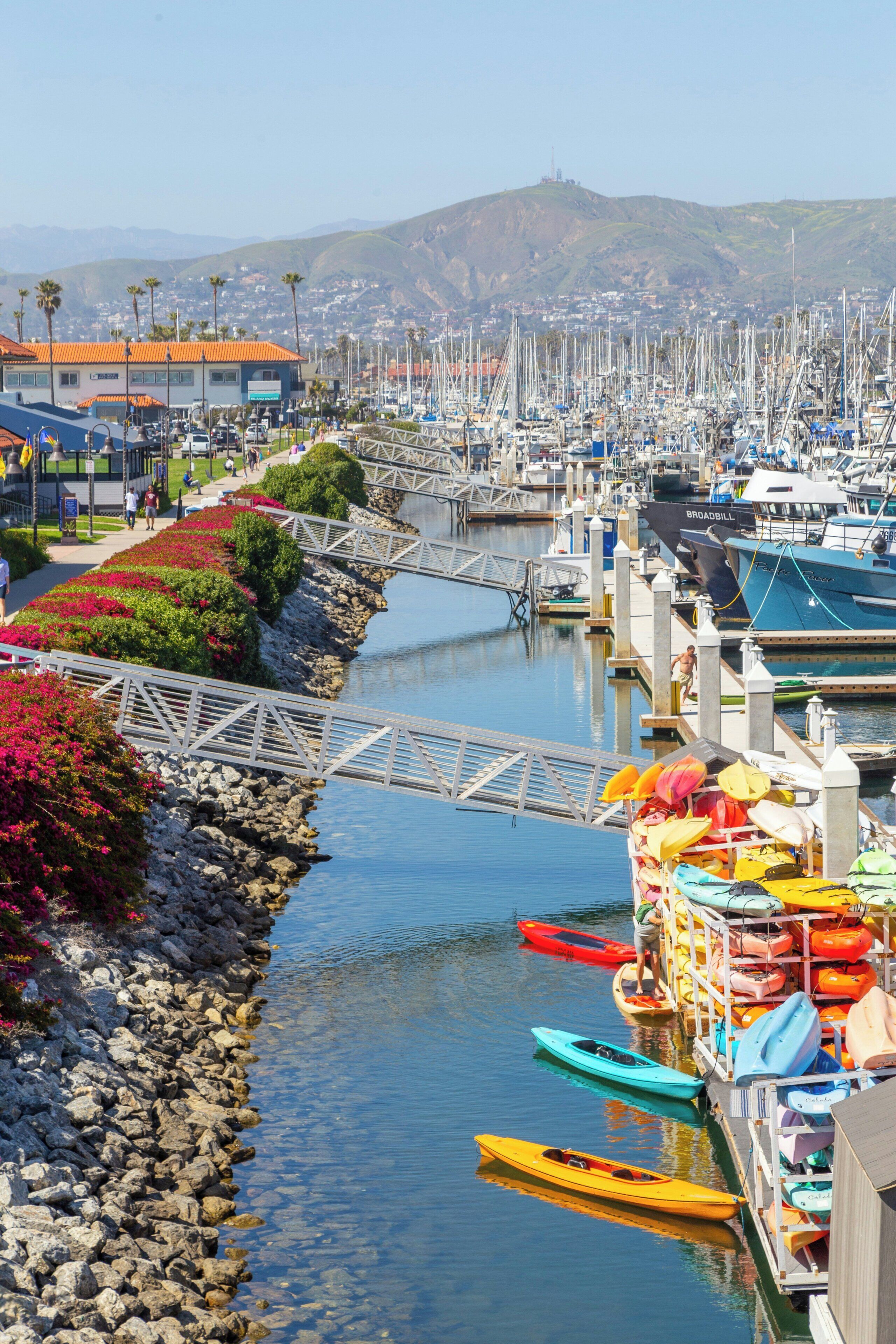 A marina with boats docked, a pedestrian bridge, and a rocky shoreline with colorful flowers.