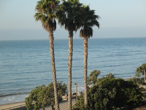 Three palm trees in front of a beach with the ocean in the background. - Crowne Plaza Ventura Beach by IHG (Ventura)