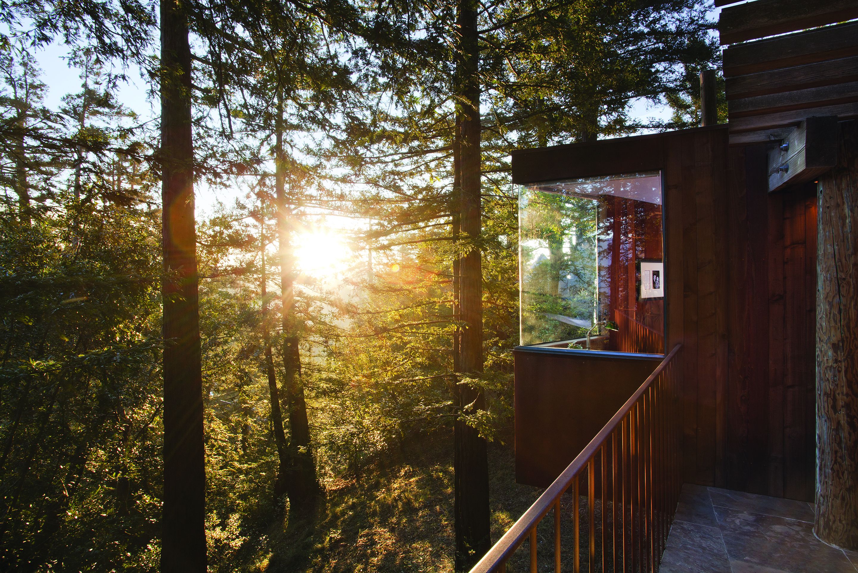 Tree House | Premium bedding, pillowtop beds, free minibar, in-room safe