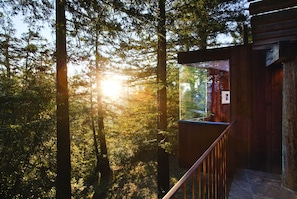 A wooden cabin with a glass balcony overlooking a forest.