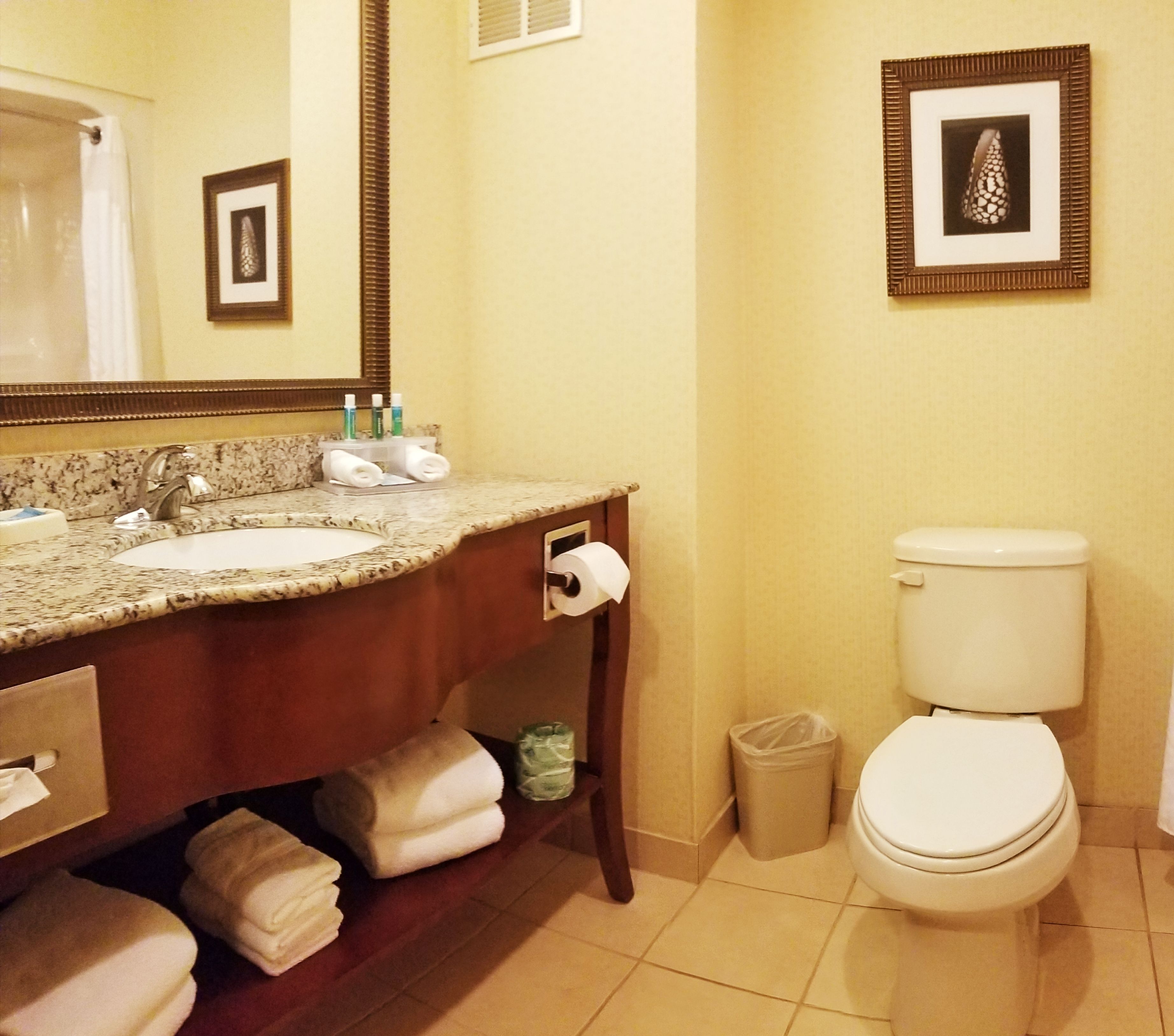 combined shower/bathtub, free toiletries, hair dryer, towels