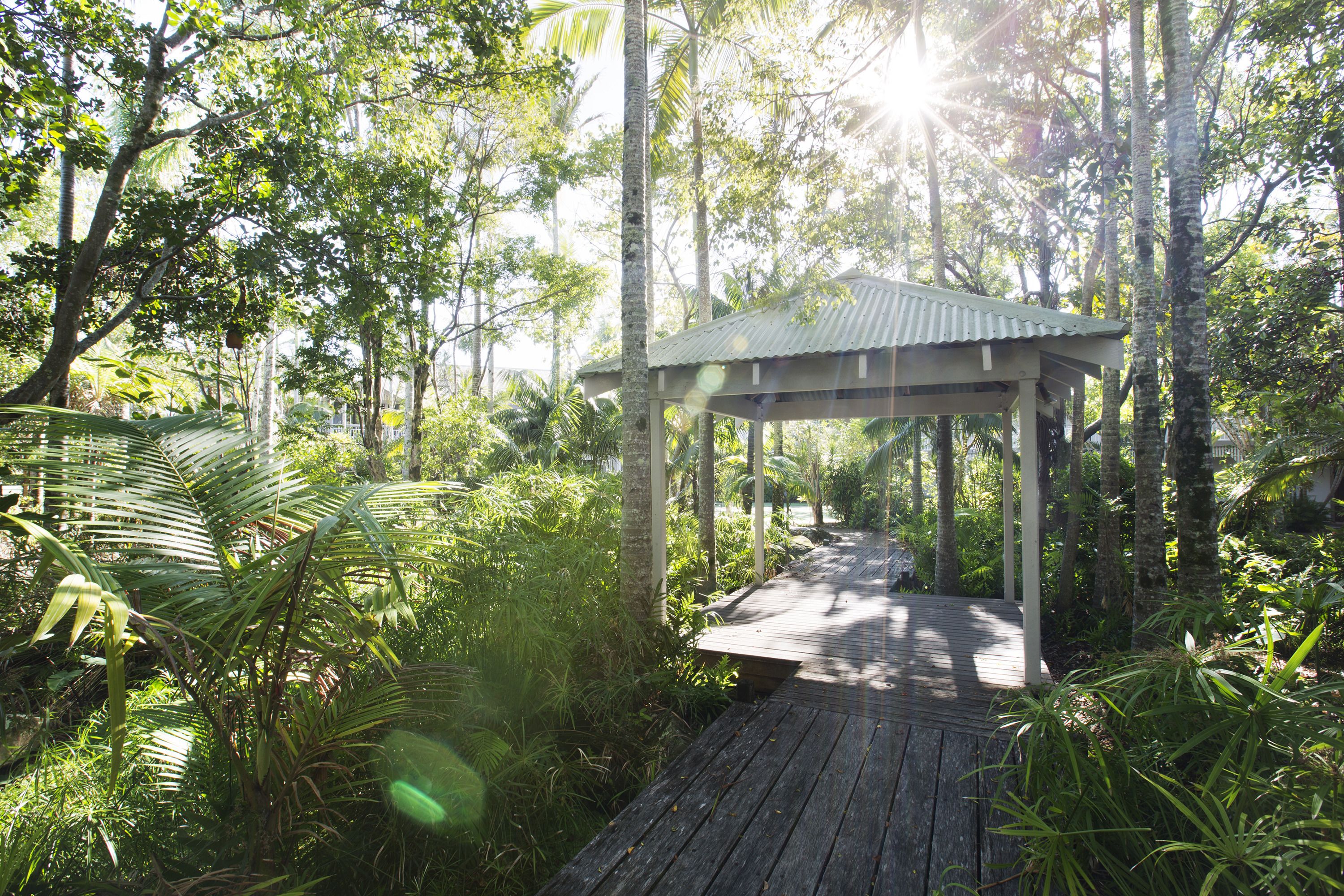 A wooden gazebo in a lush, green forest.