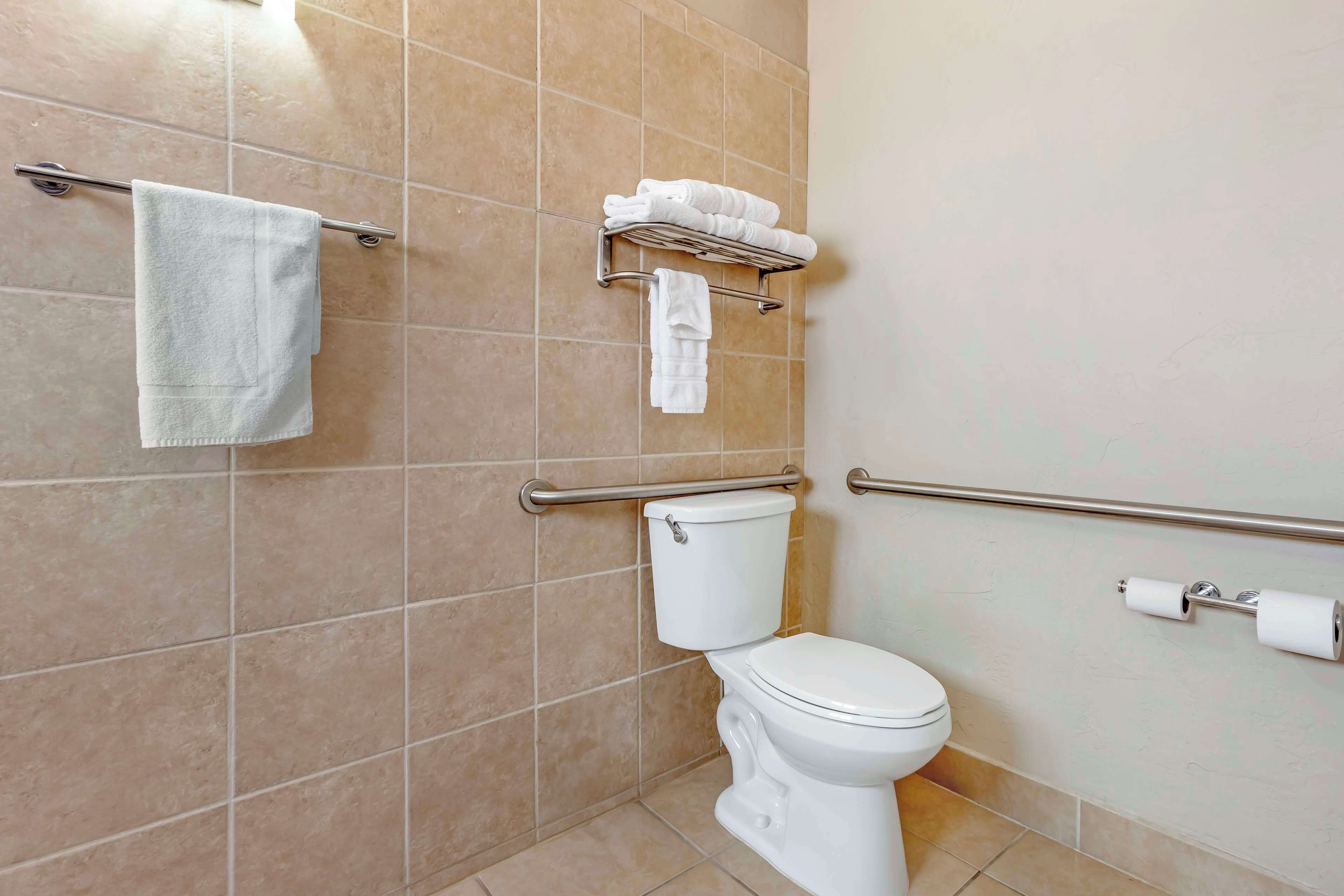 combined shower/bathtub, free toiletries, hair dryer, towels