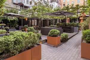 Garden view