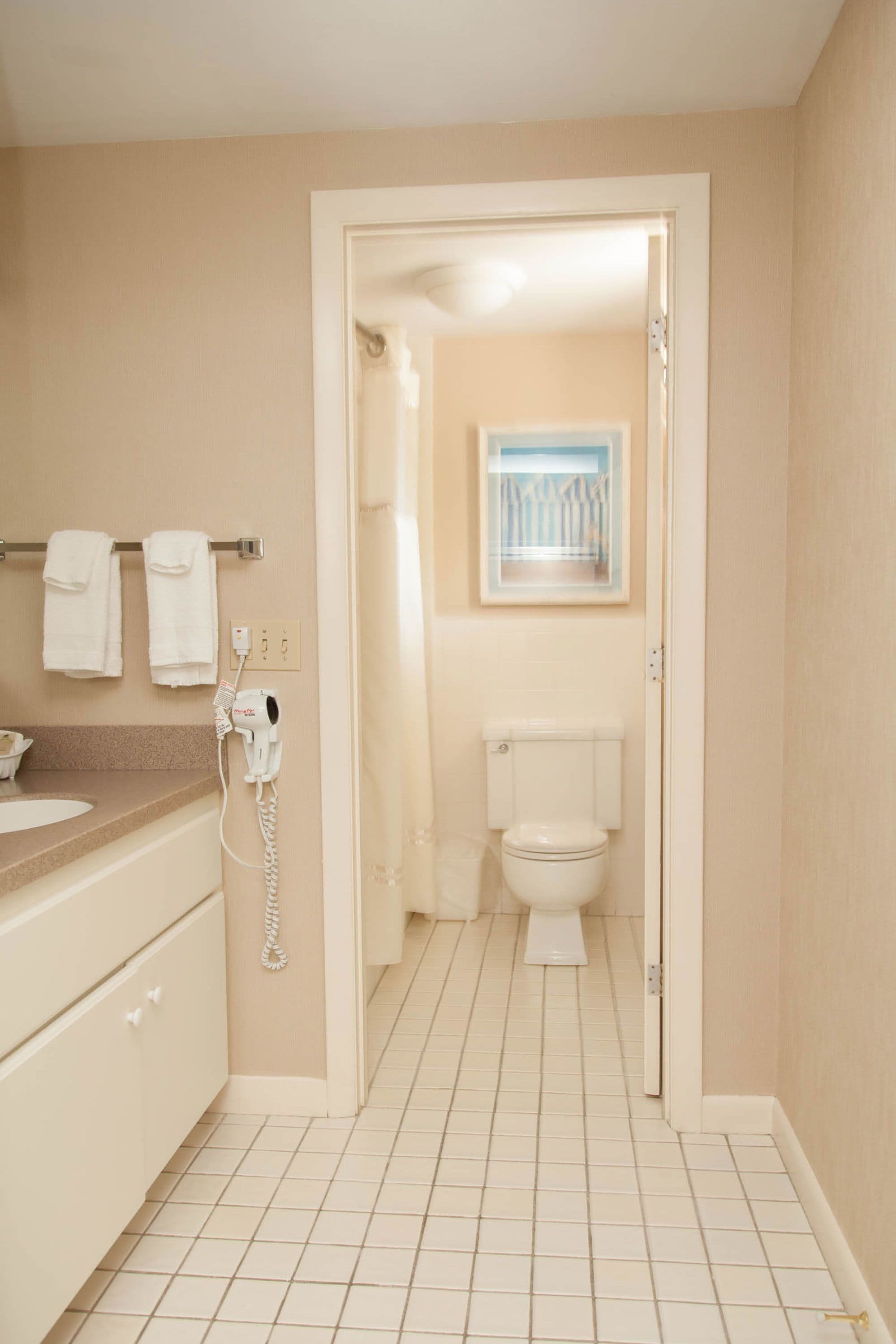 combined shower/bathtub, free toiletries, hair dryer, towels