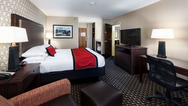 A hotel room with a bed, a desk, a chair, a TV, and a lamp.