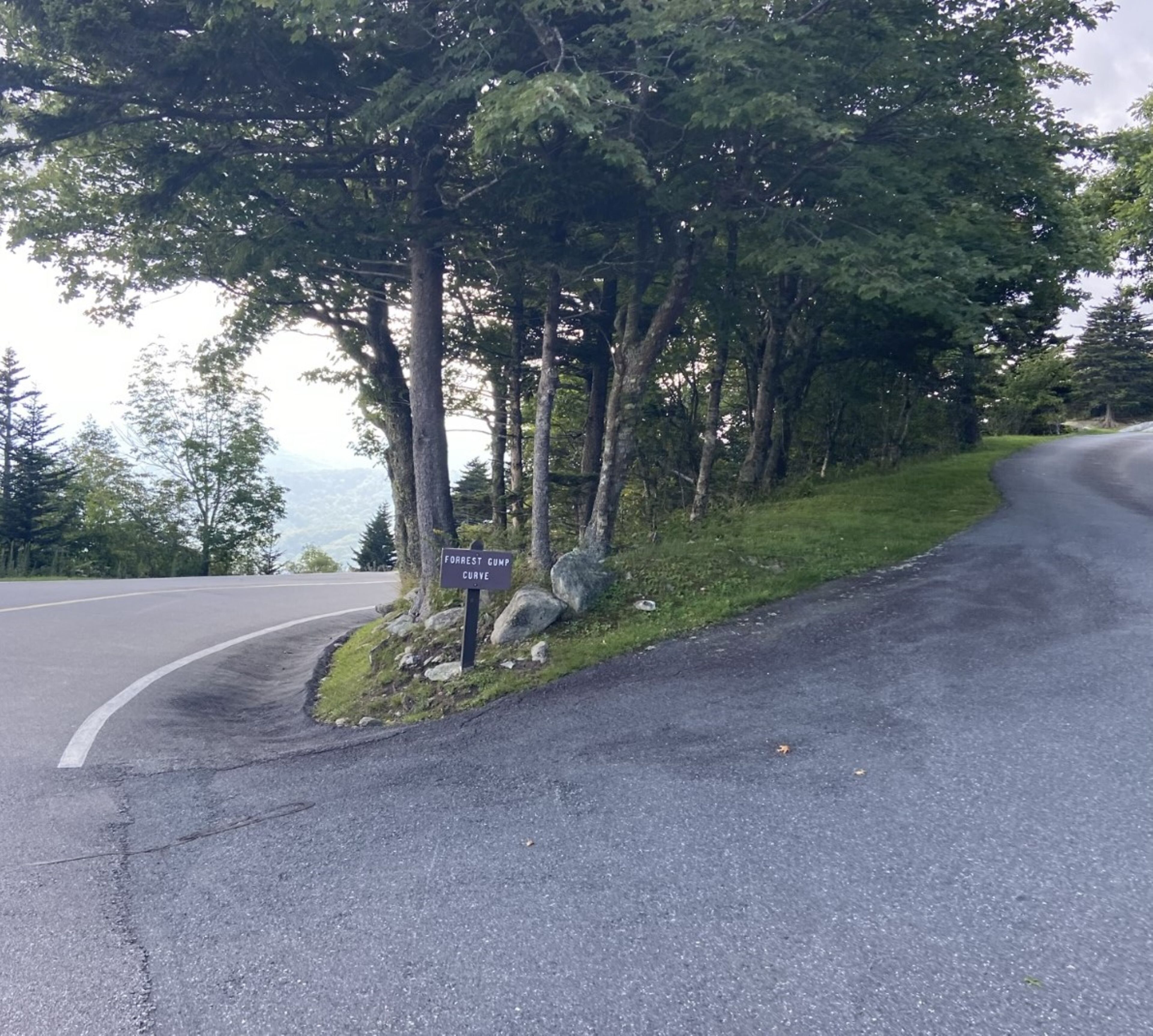 A road sign indicating 'Forrest Gump Curve' with a view of a mountainous landscape in the background.