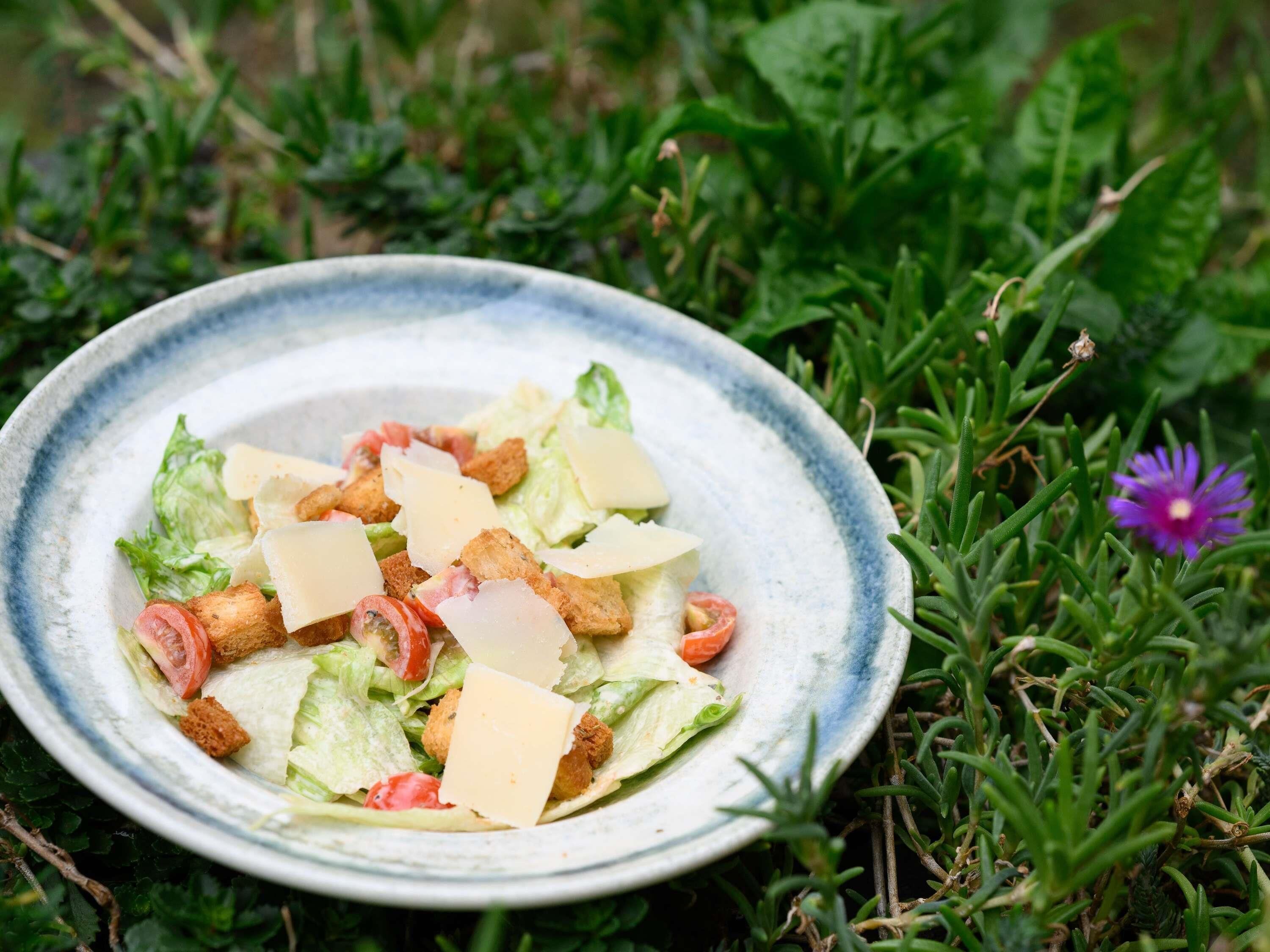 A plate of salad with lettuce, croutons, cheese, and tomatoes on a ceramic plate.