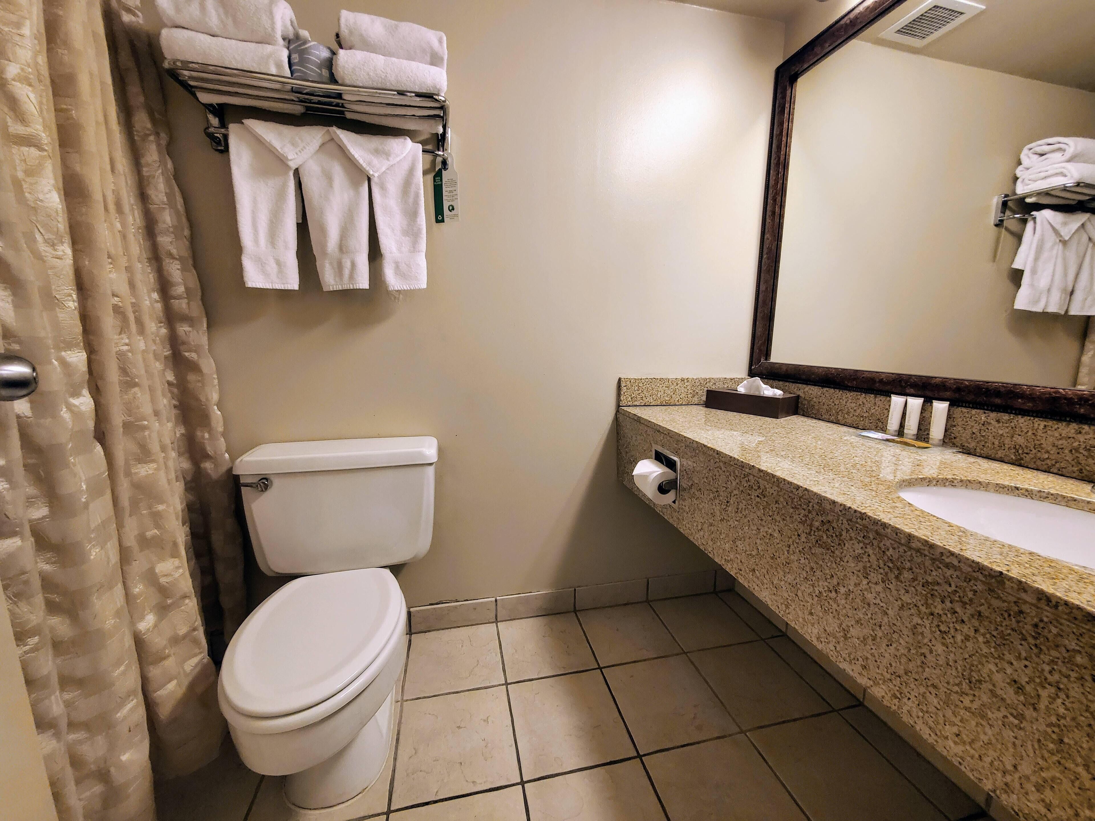 A bathroom with a toilet, a sink, a mirror, and a towel rack with folded towels.