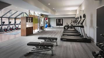 A gym with treadmills, weight benches, and exercise balls.