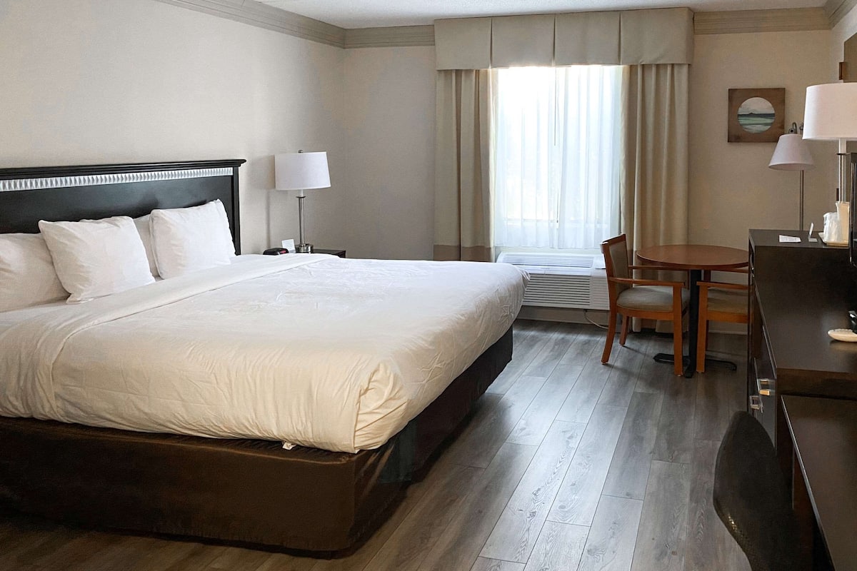 Room, 1 King Bed, Accessible, Non Smoking (Roll in Shower) | In-room safe, desk, blackout drapes, iron/ironing board