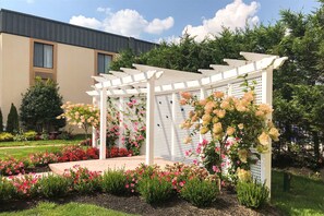 Stroll through the serene garden, surrounded by a beautiful pergola and lush greenery.