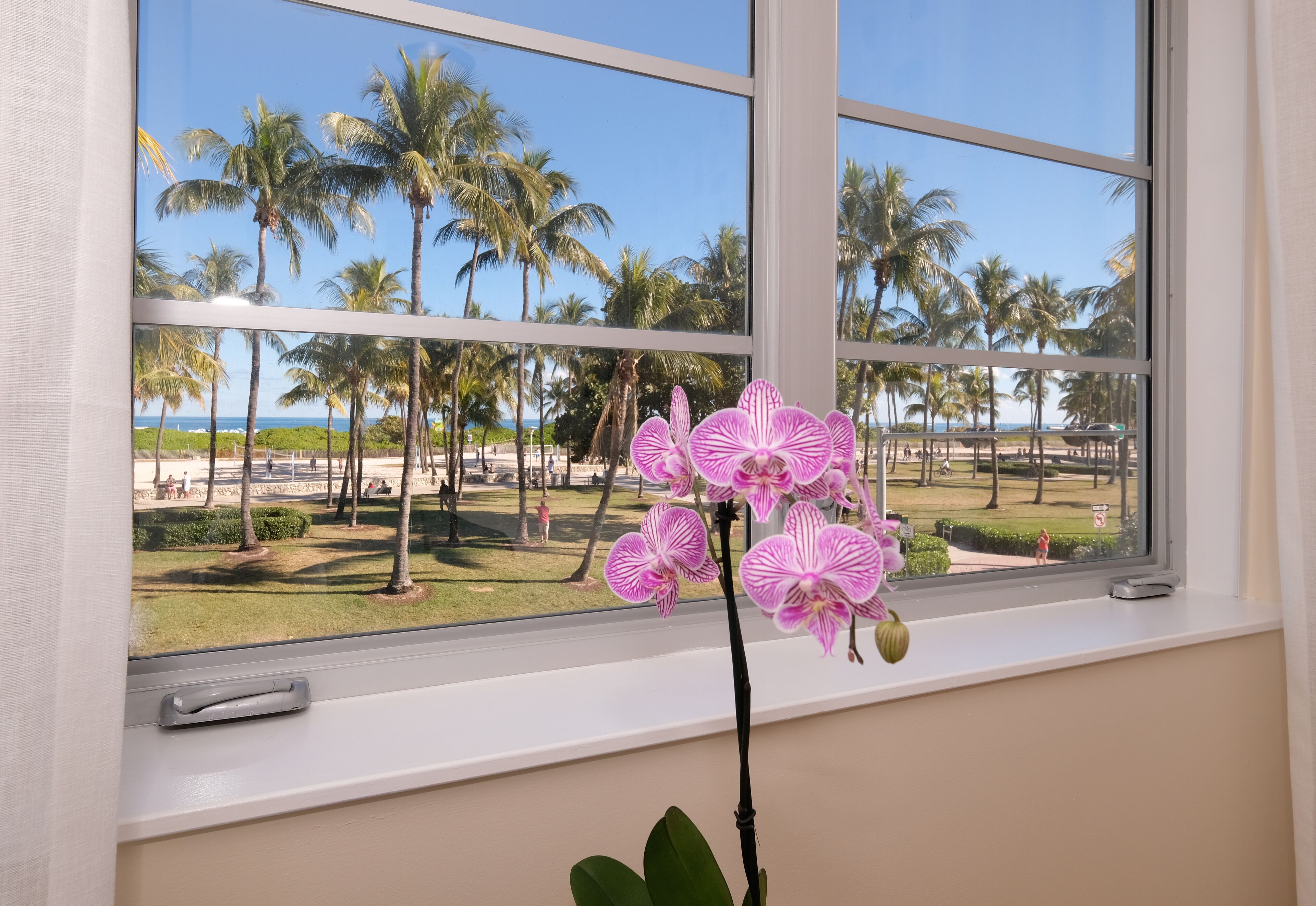 1 bedroom, premium bedding, in-room safe, desk