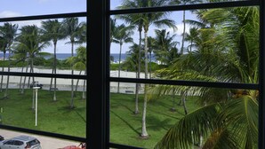 A view through a window of a grassy area with palm trees and a beach in the background. - Avalon Hotel (Miami Beach)