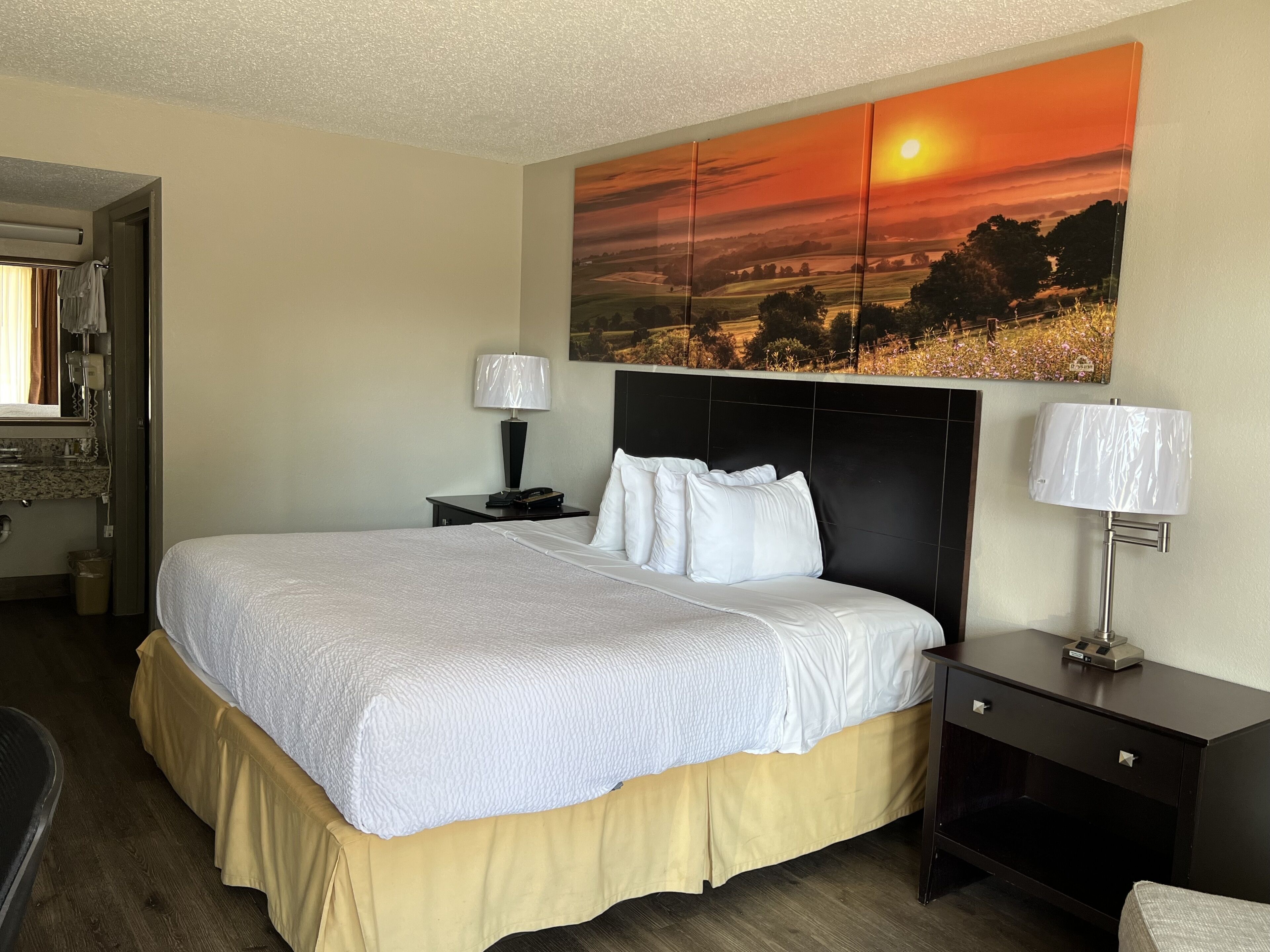 Standard Room, 1 King Bed, Non Smoking | Pillowtop beds, desk, blackout drapes, iron/ironing board