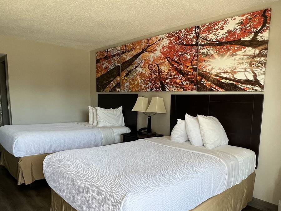 Colchones con pillow-top, escritorio y cortinas blackout