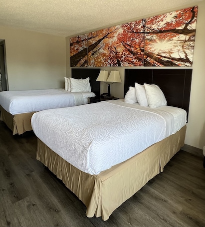 Colchones con pillow-top, escritorio y cortinas blackout