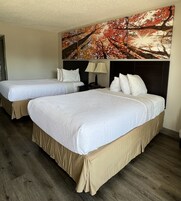 Colchones con pillow-top, escritorio y cortinas blackout 