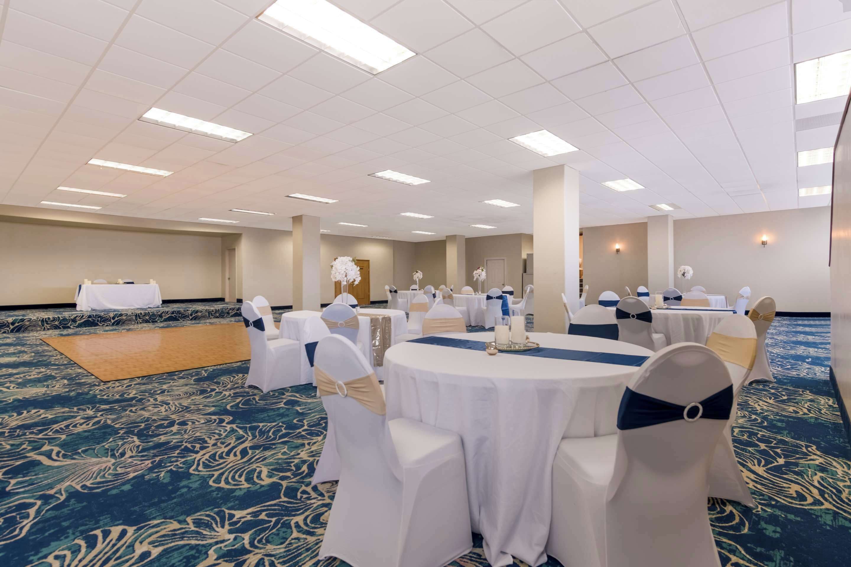 A banquet hall with round tables, white chairs with blue sashes, and a blue carpeted floor.