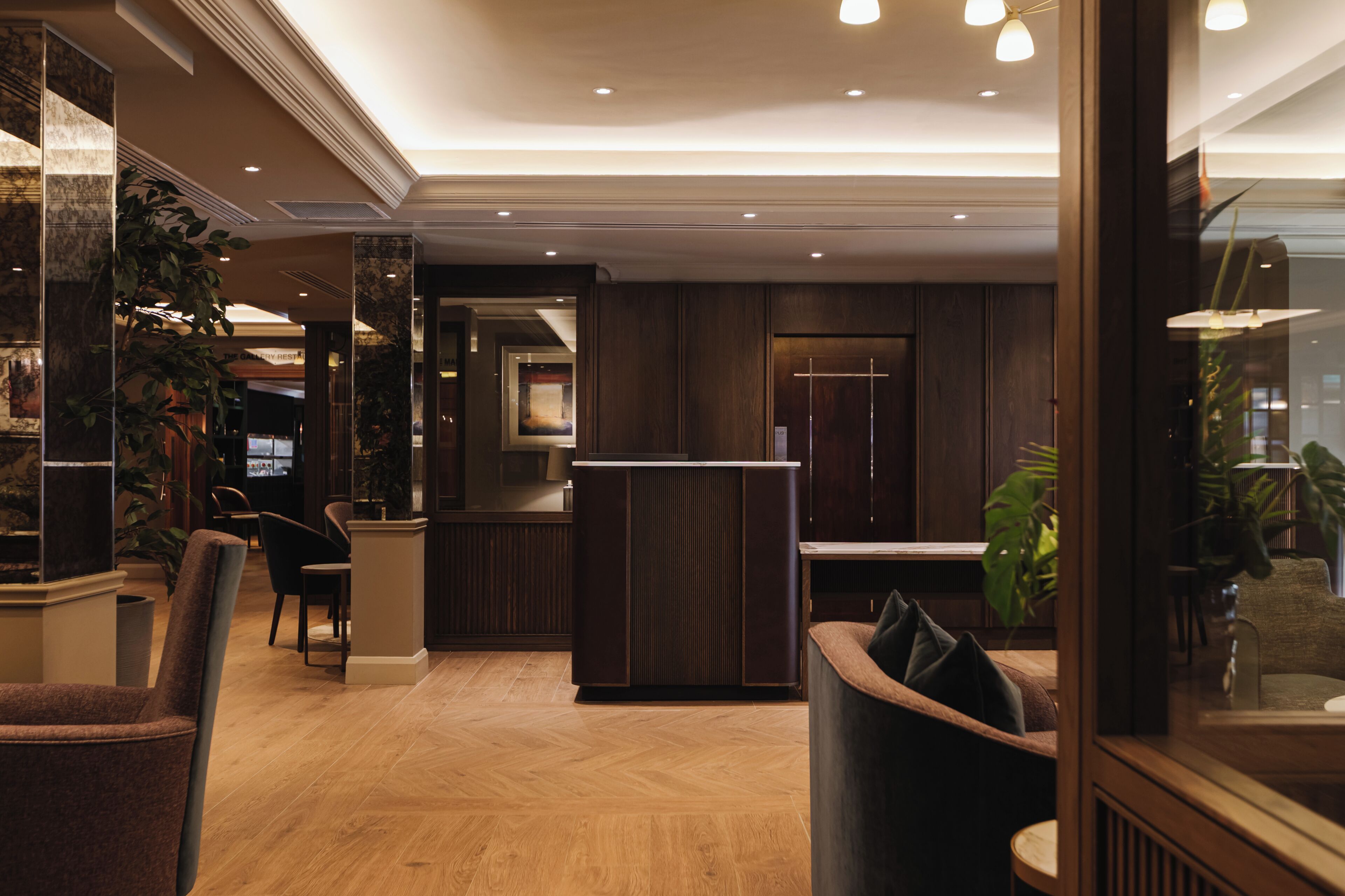 منطقة الاستقبال