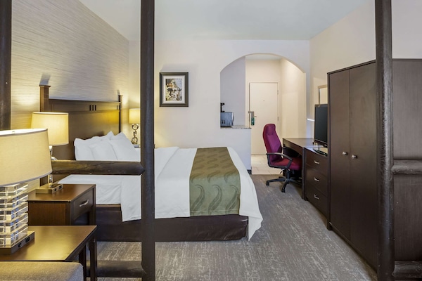 Suíte, 1 cama King, para não fumantes | Wi-Fi de cortesia, roupa de cama, despertadores