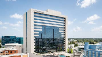 Pemandangan dari udara