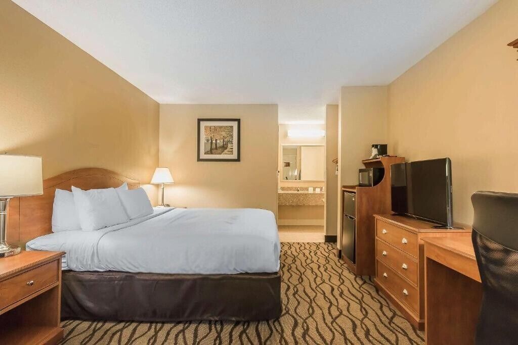 Standard Room, 1 King Bed, Non Smoking