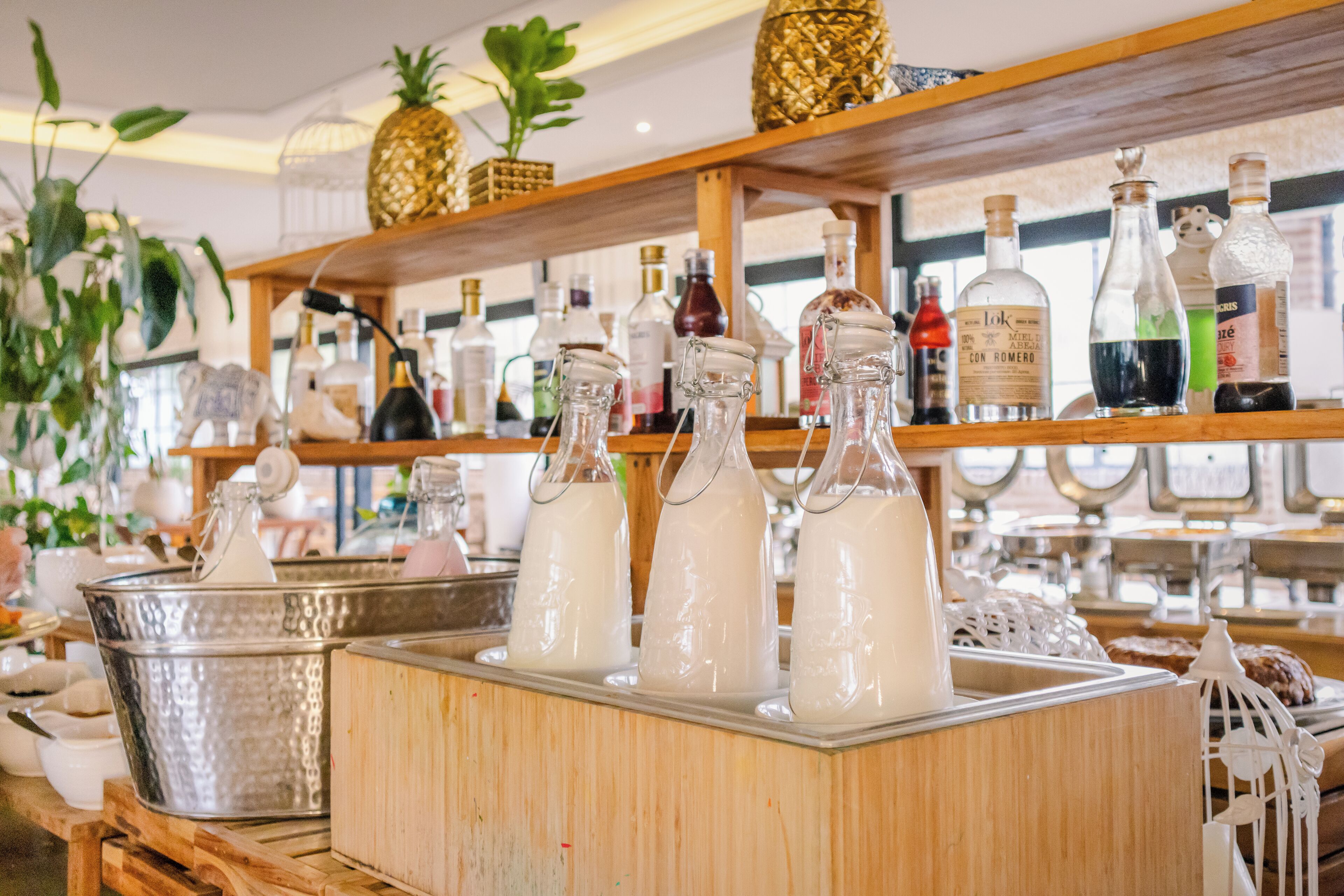 Foto - Hotel Caribe by Faranda Grand, a member of Radisson Individuals