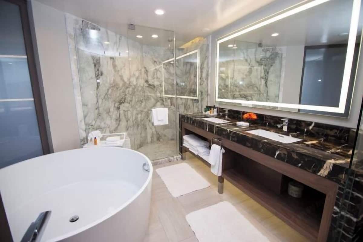 Eco-friendly toiletries, hair dryer, towels