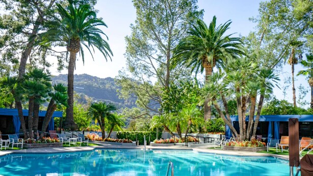 Una piscina rodeada de palmeras y sillas de descanso, con vistas a colinas al fondo.