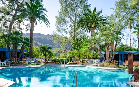 A swimming pool surrounded by palm trees and lounge chairs, with a view of hills in the background.