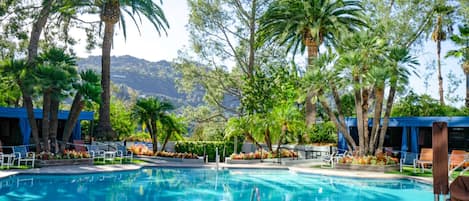 Outdoor pool, a heated pool, pool loungers