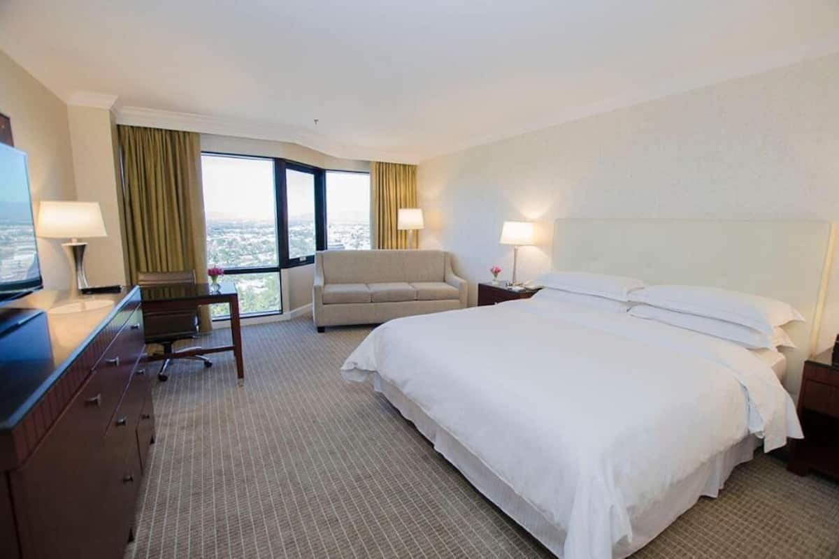 A hotel room with a bed, a desk, a chair, a television, and a view of the city.