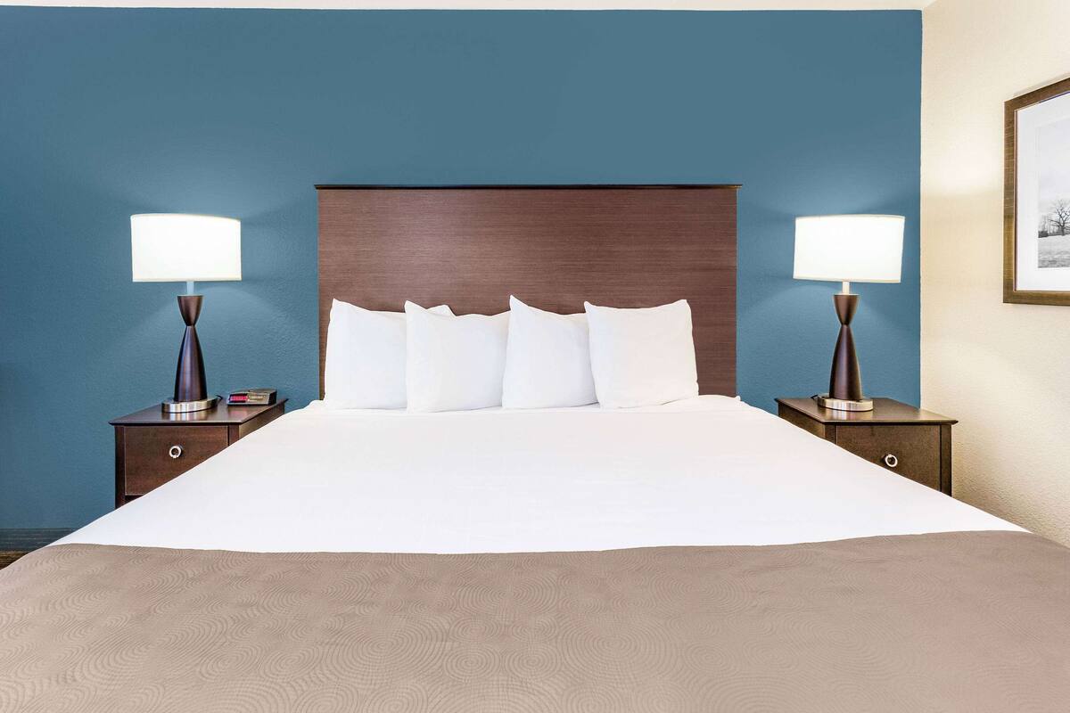 Una habitación de hotel con una cama grande, dos mesitas de noche con lámparas y un cuadro en la pared.
