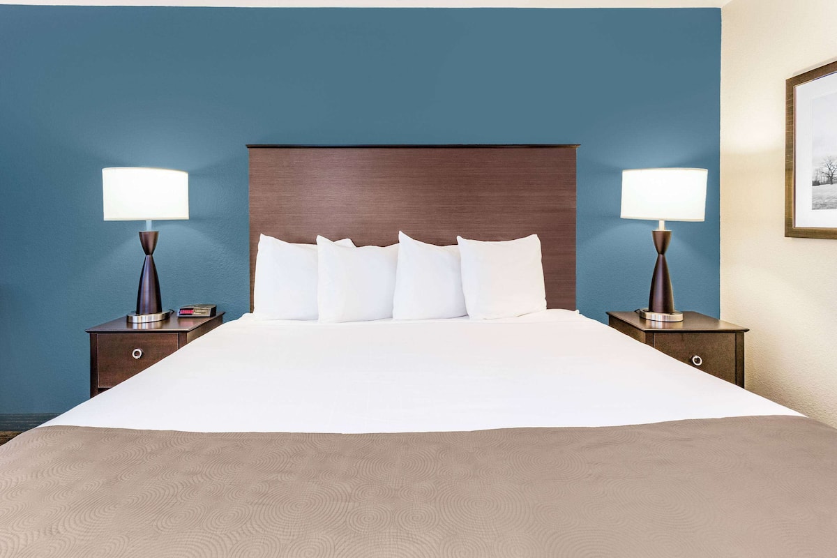 Studio Suite, 1 King Bed, Non Smoking