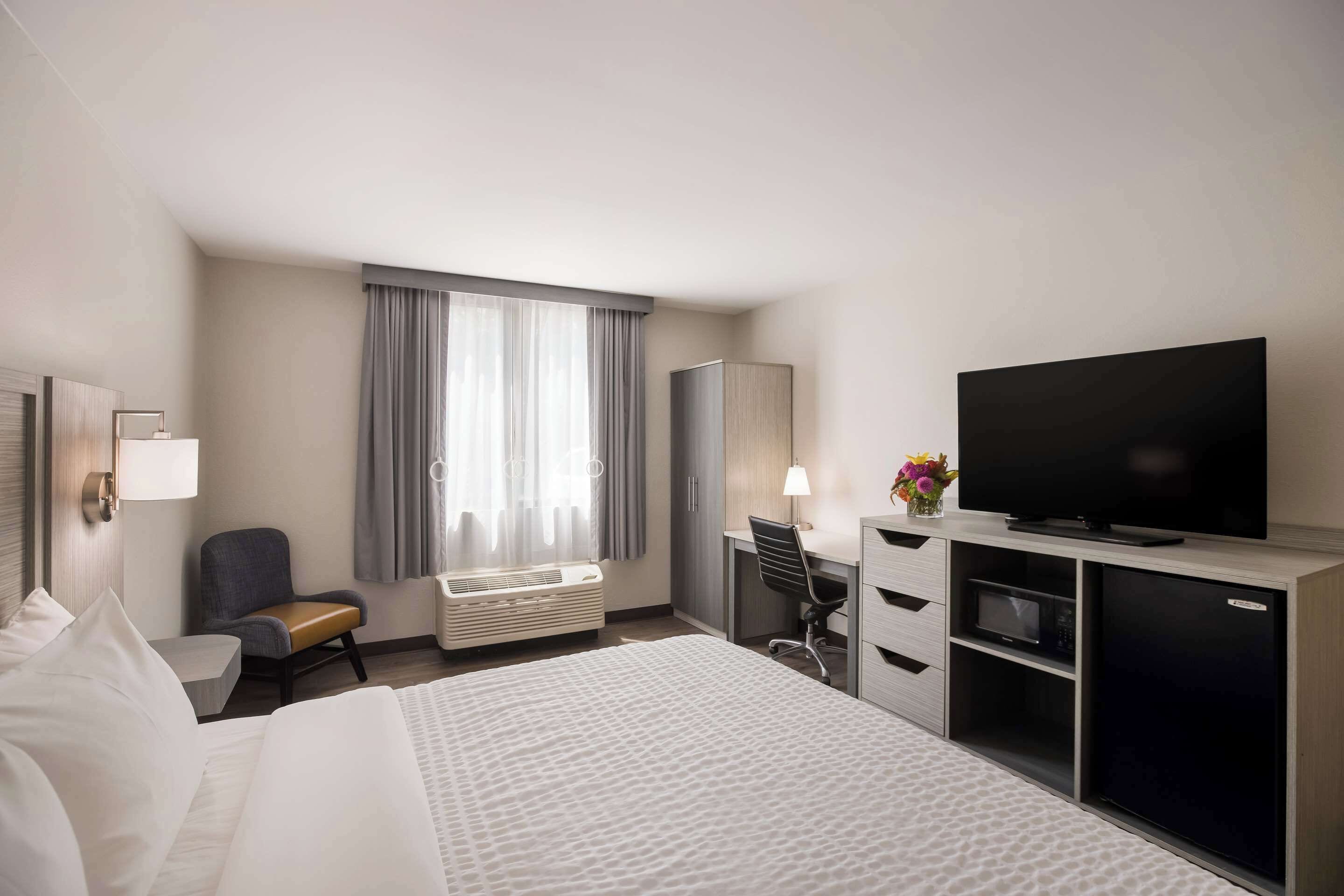 A hotel room with a bed, a desk, a television, a chair, and a window with curtains.