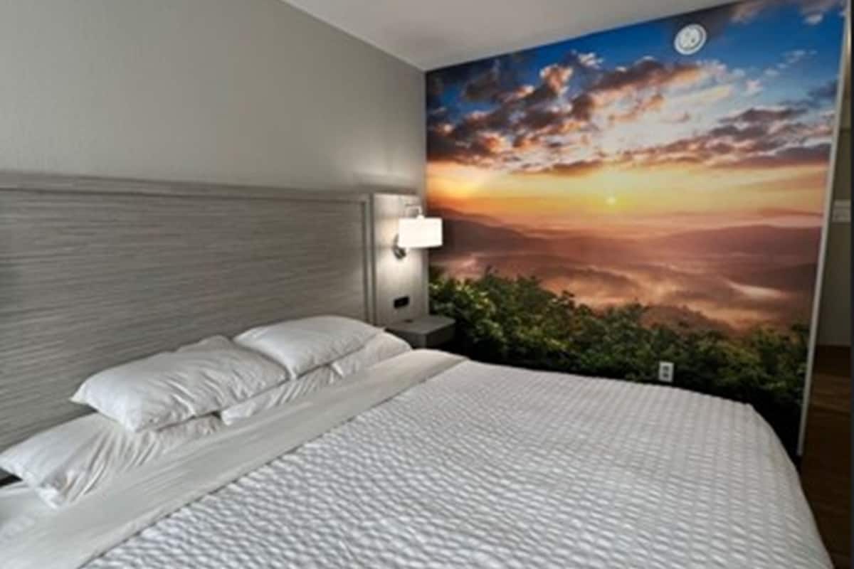 in-room safe, blackout curtains, iron/ironing board, rollaway beds