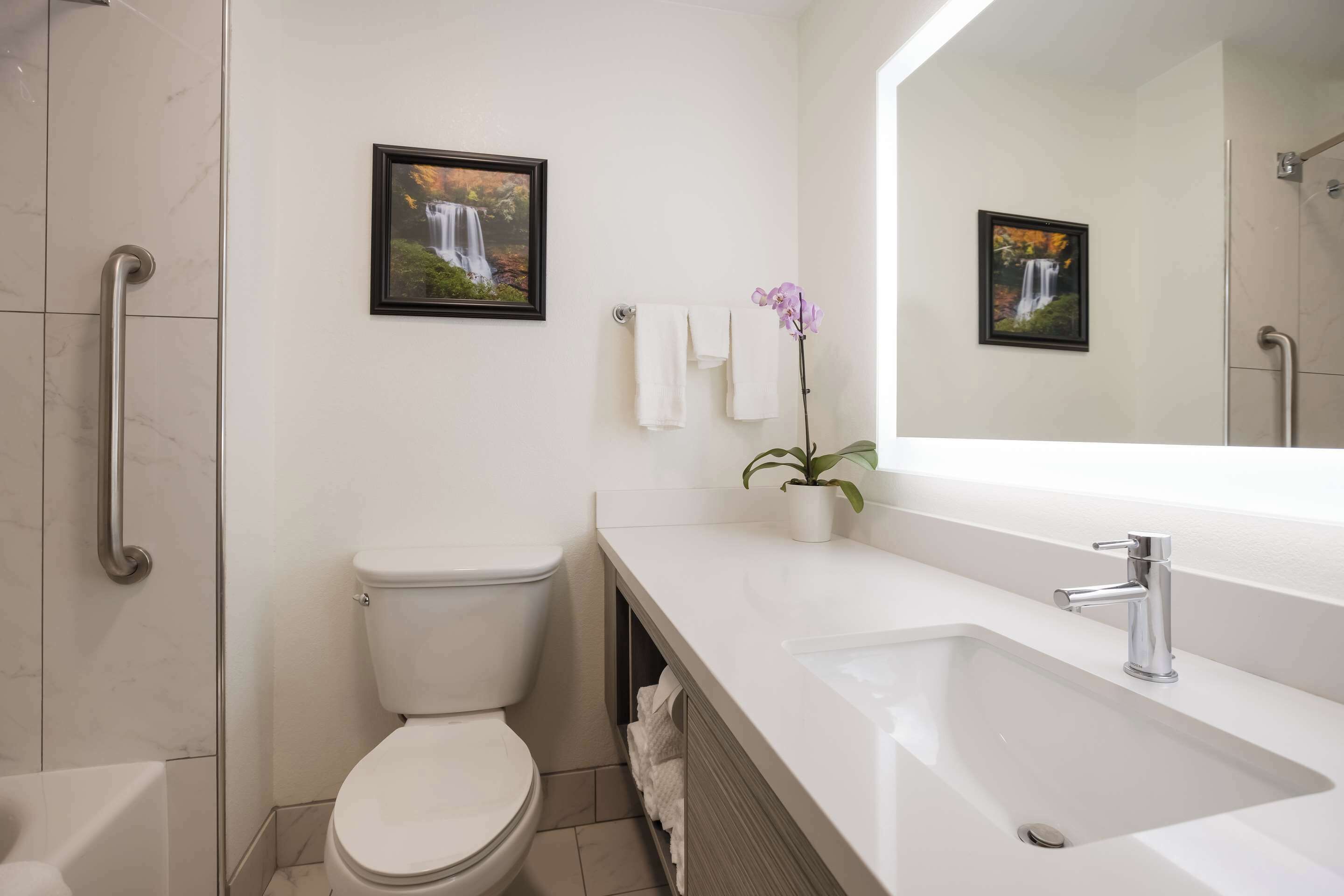 A modern bathroom with a toilet, sink, and shower. There are two framed pictures on the wall, a potted plant on the sink counter, and a towel rack with towels.