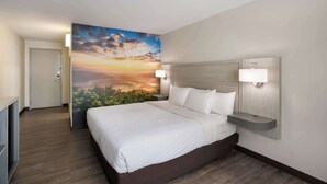 A hotel room with a large bed, two bedside lamps, a nightstand, and a wall mural of a sunset. - Clarion Pointe Sylva near Cherokee Area (Sylva)