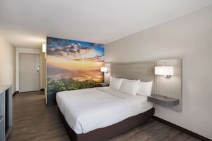 Room, 1 Queen Bed, Accessible, Non Smoking | In-room safe, blackout drapes, iron/ironing board, rollaway beds