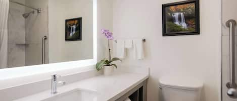 A bathroom with a large mirror, a sink, a toilet, and two framed pictures on the wall.
