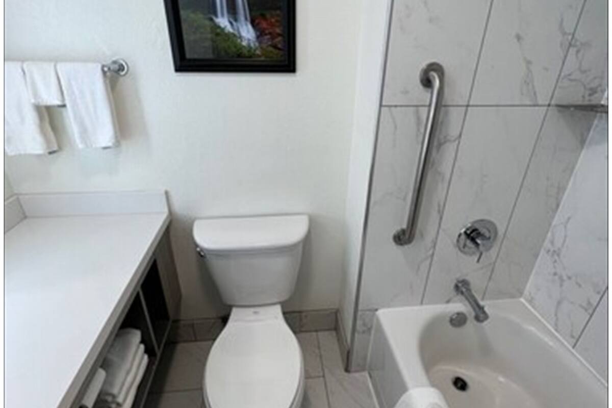 free toiletries, hair dryer, towels