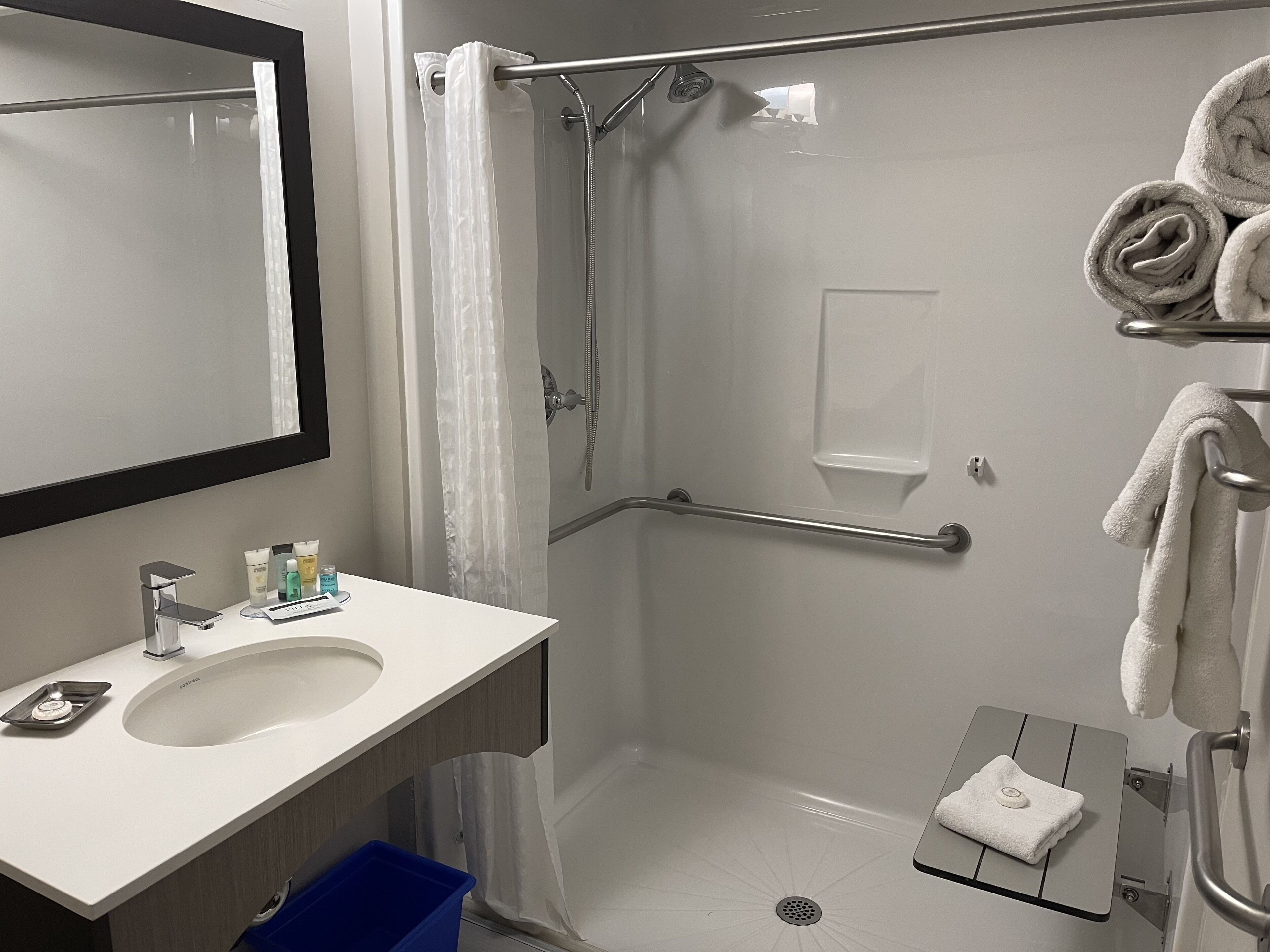 deluxe room, 1 queen bed, accessible, non smoking | bathroom | eco-friendly toiletries, hair dryer, towels